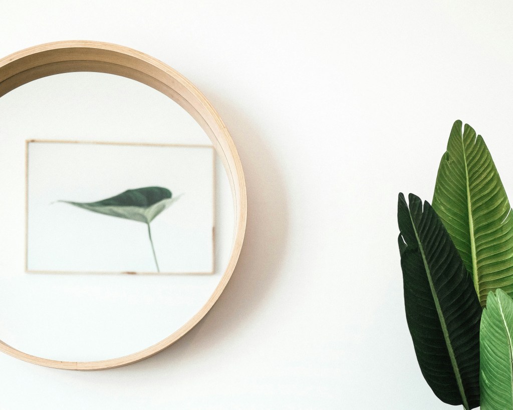 Incorporer la nature chez soi : des décorations murales pour une ambiance&nbsp;naturelle